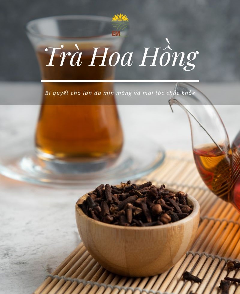 Nguồn gốc của trà hoa hồng